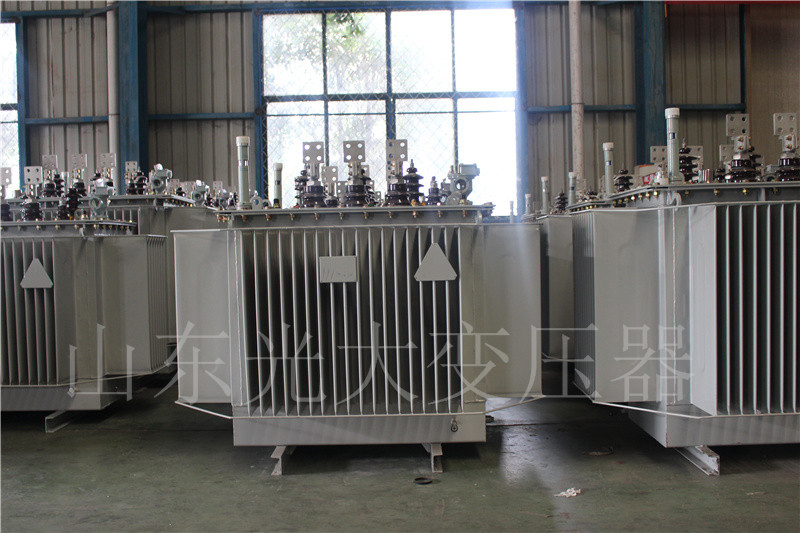 元宝S20-500KVA/10KV